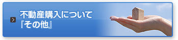 不動産購入について『その他』